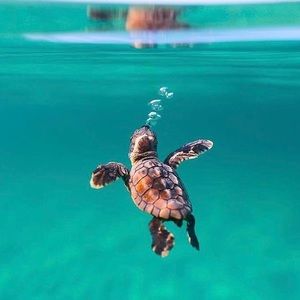 Meet your Posher, Kaylah